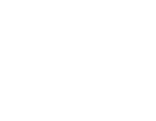 PPG logo
